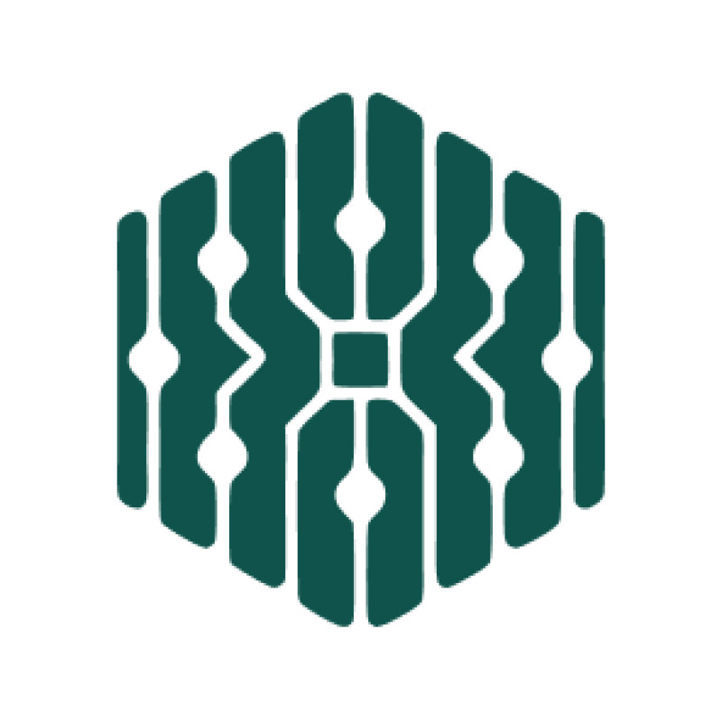 Digital Development Center logo