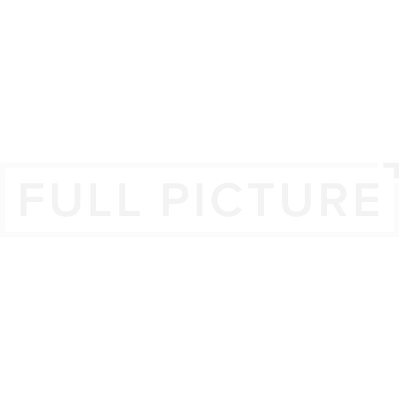 Full Picture logo
