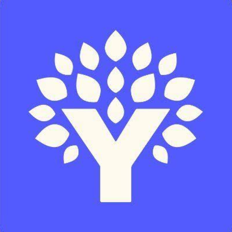 YNAB logo