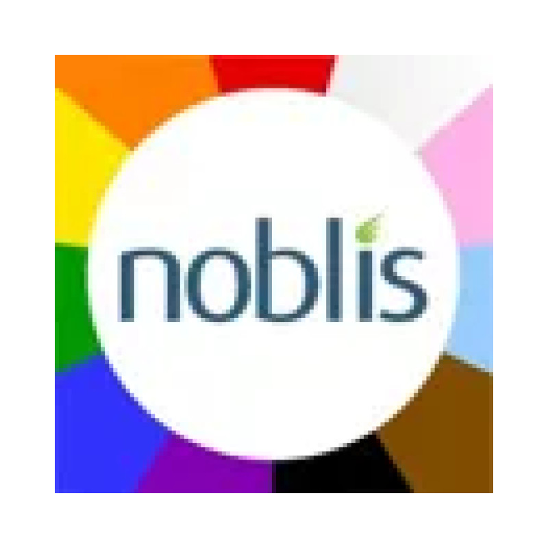 Noblis logo