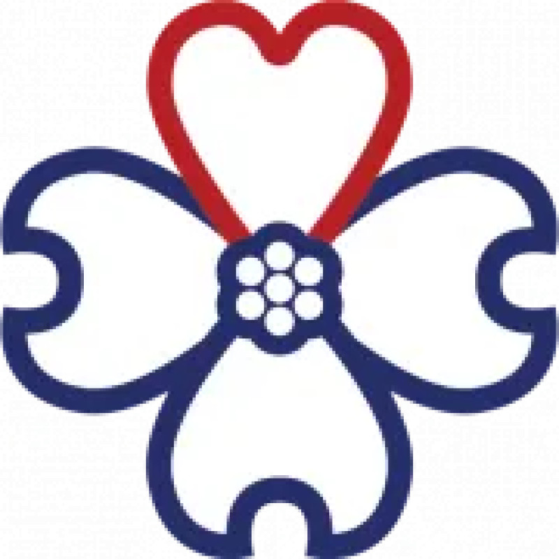 Navion Senior Solutions logo