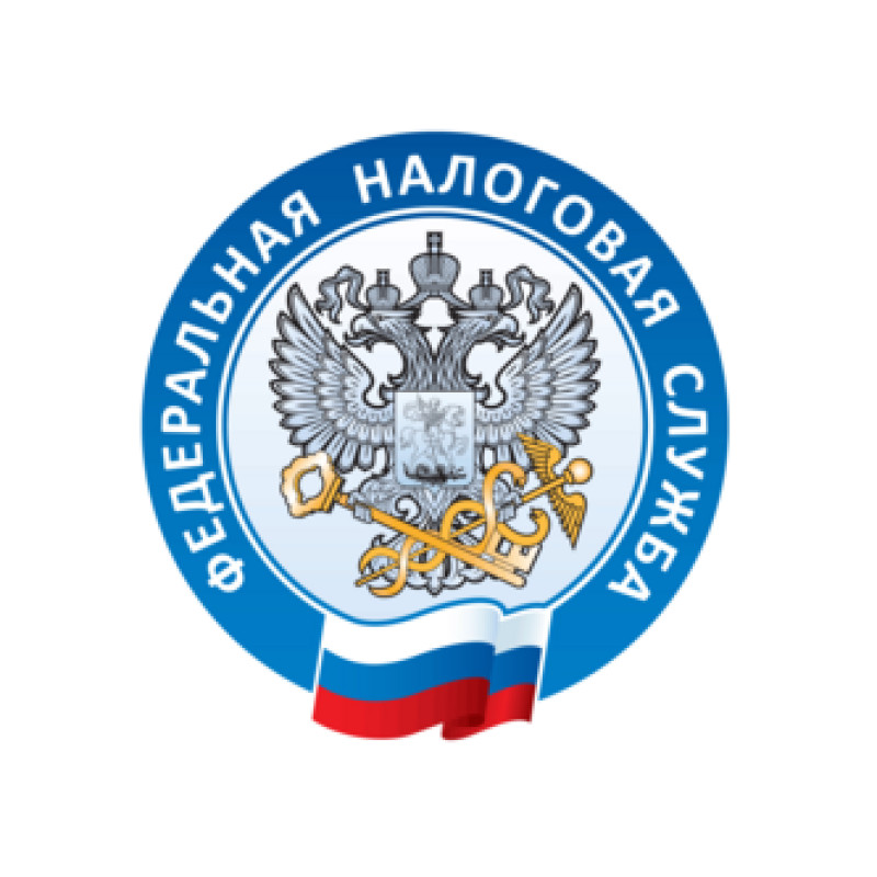 Nalog-Service logo