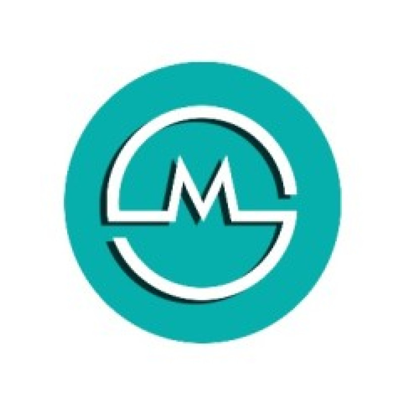 Modernize Chip Solutions logo