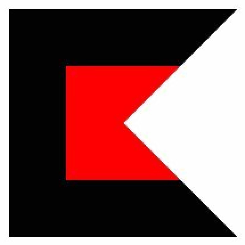 Kalashnikovgroup logo
