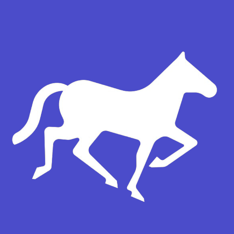 Nomadic Soft logo