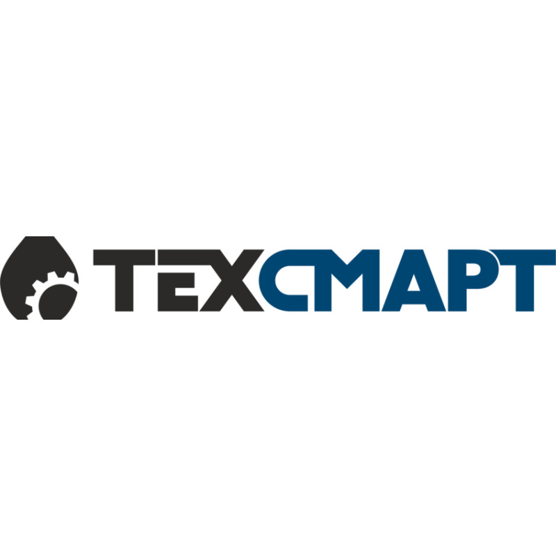 TehSmart logo