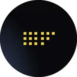 Sapfioneer logo