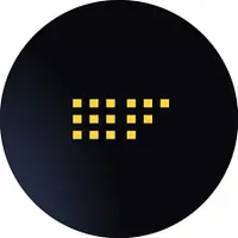 Sapfioneer logo