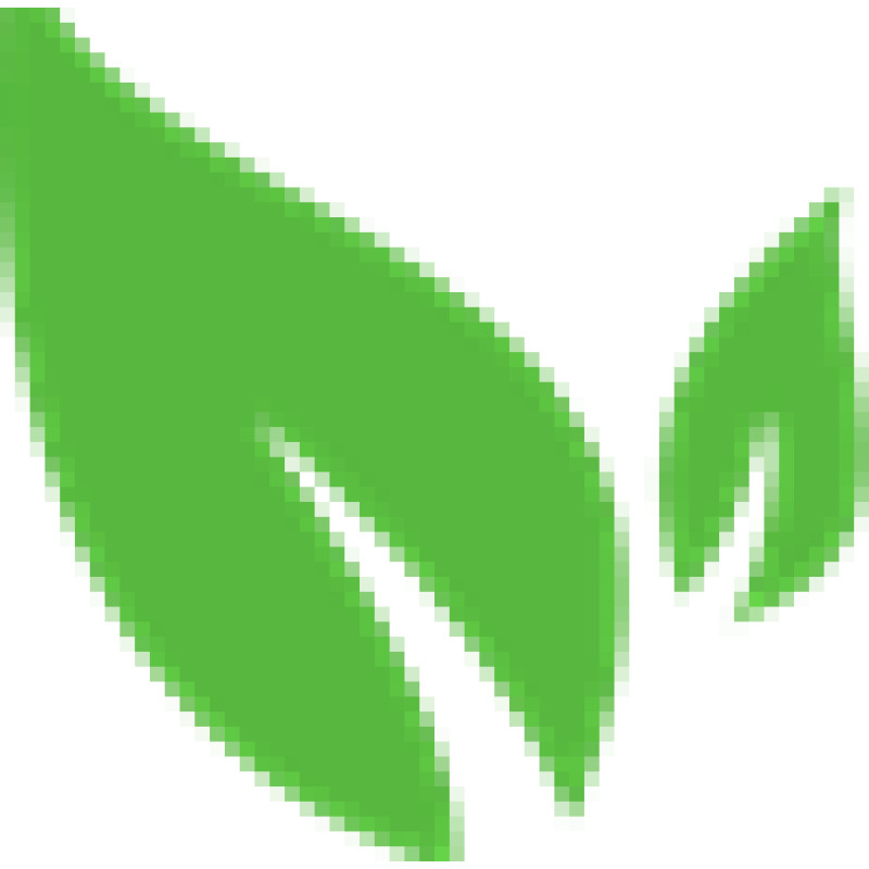 Paleovalley Wild Pastures logo