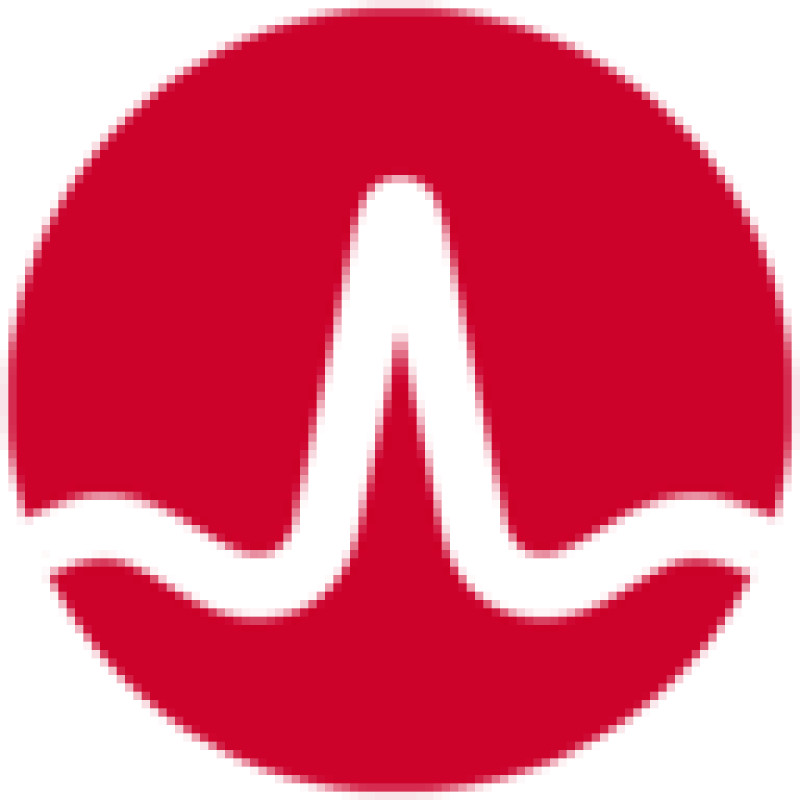 LSI logo