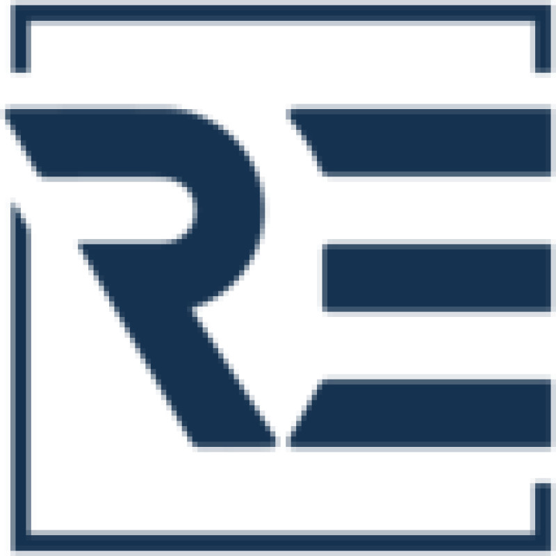 Russian National Reinsurance Company logo