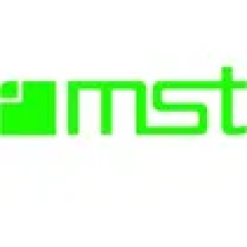 mst group GmbH logo