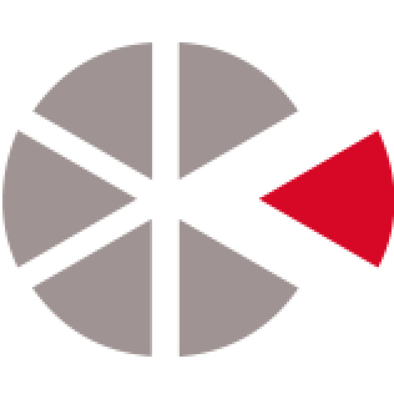 Thepieexecutivesearch logo