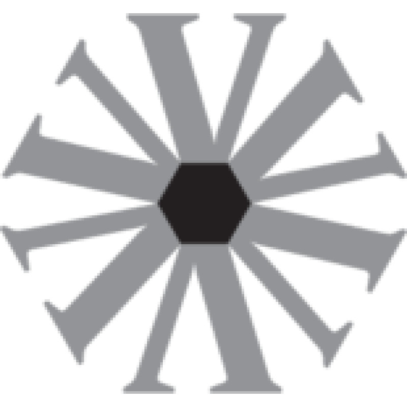 Virtus logo
