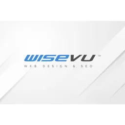 Wisevu logo