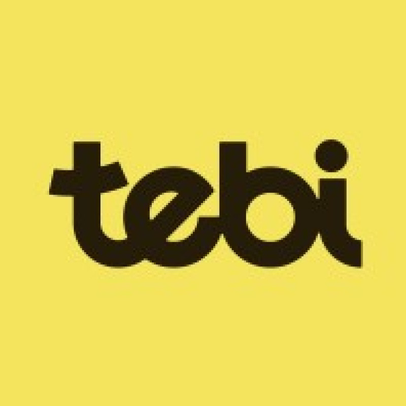 Tebi logo