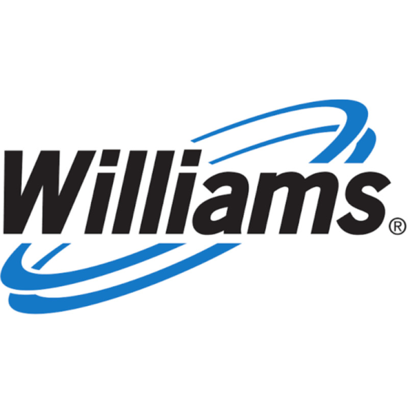 Williamsprostaffing logo