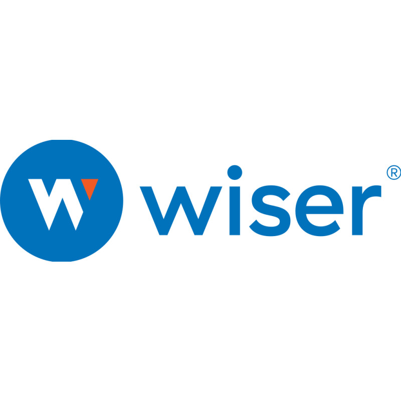 Wiser Solutions logo