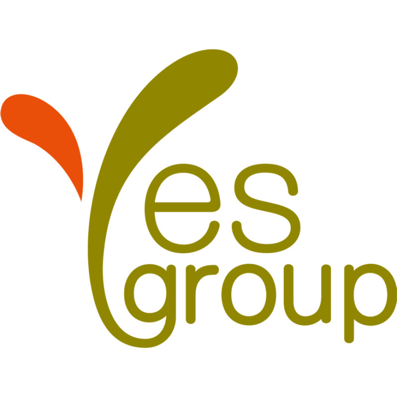 Yes-Nsk logo