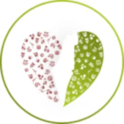Levhaolam logo