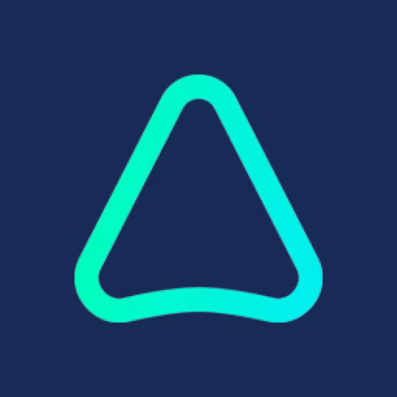 Anyone AI logo