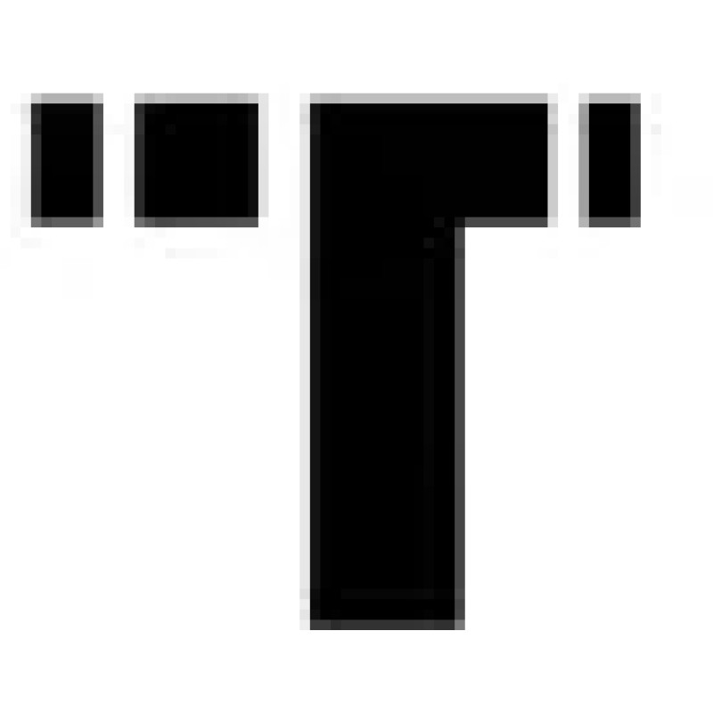 Tempus logo