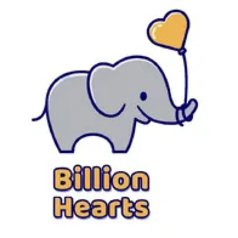 Billion Hearts Software Technologies logo