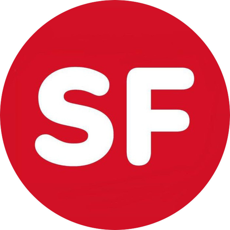 DS Trading Company logo