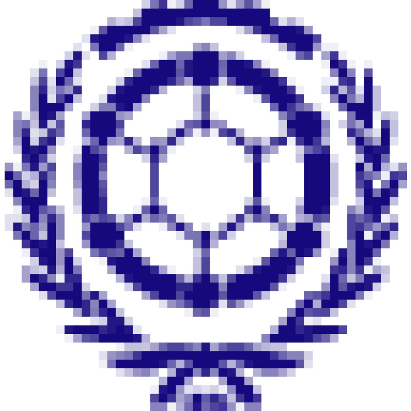 Central Scientific Research Institute of Chemistry and Mechanics logo