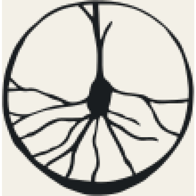 Cajal Tx logo