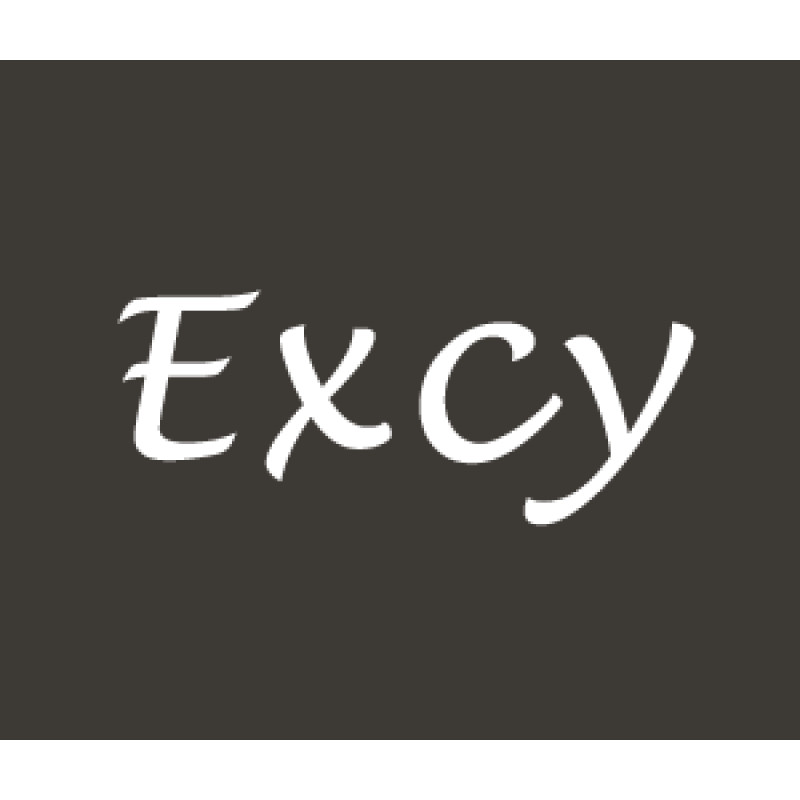 Excy logo