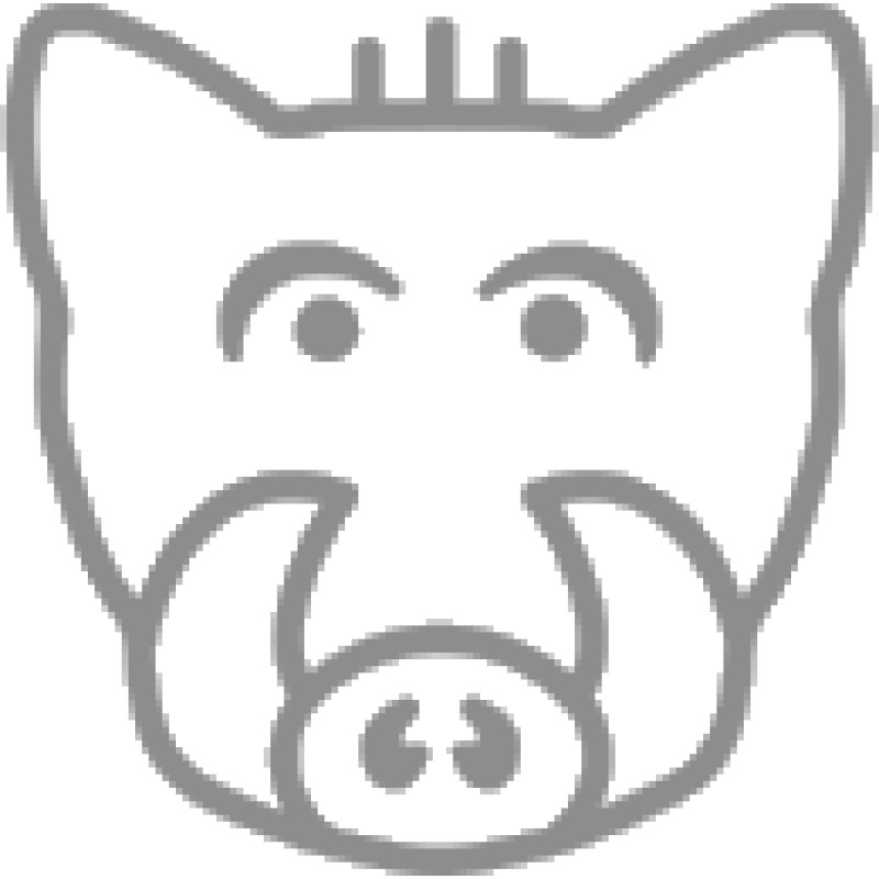 The Boar logo
