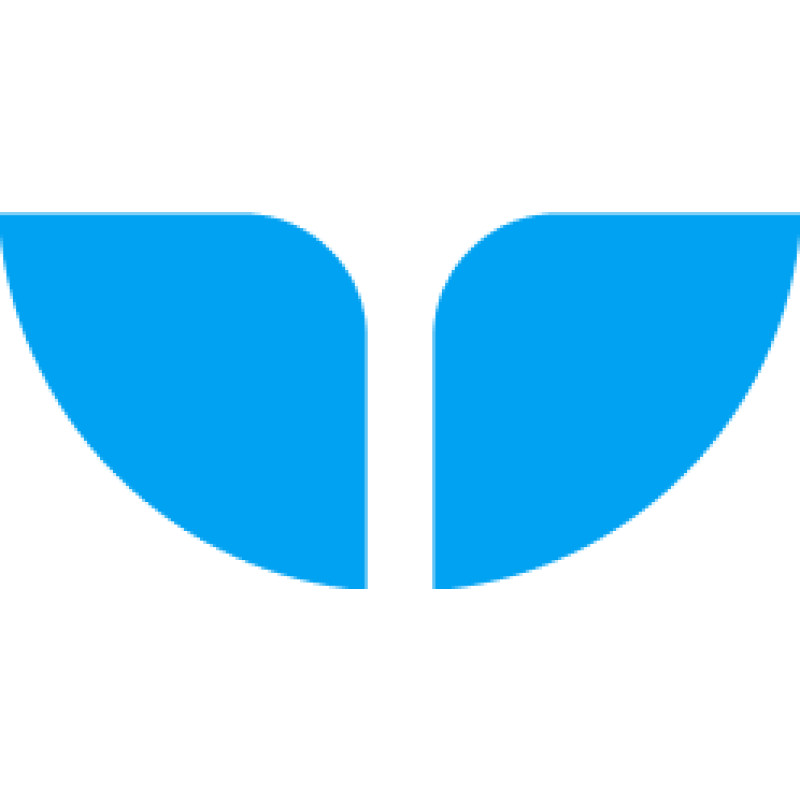 Whalesync logo
