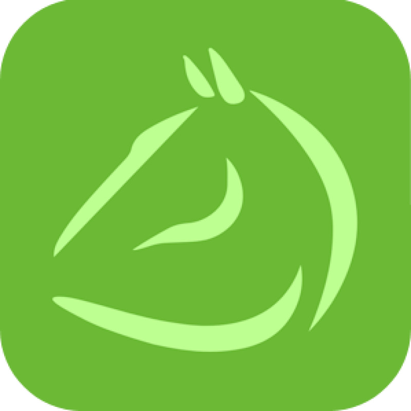 Equestrianapp logo