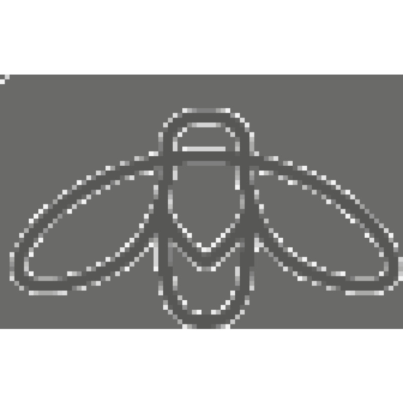 Sunflybrands logo