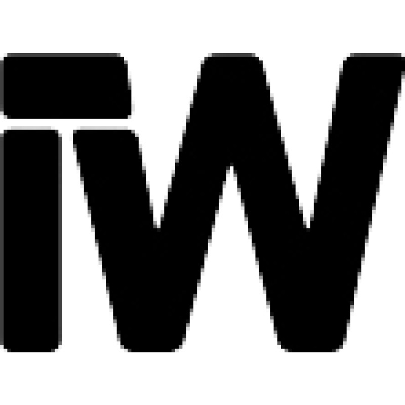 Iwitness logo
