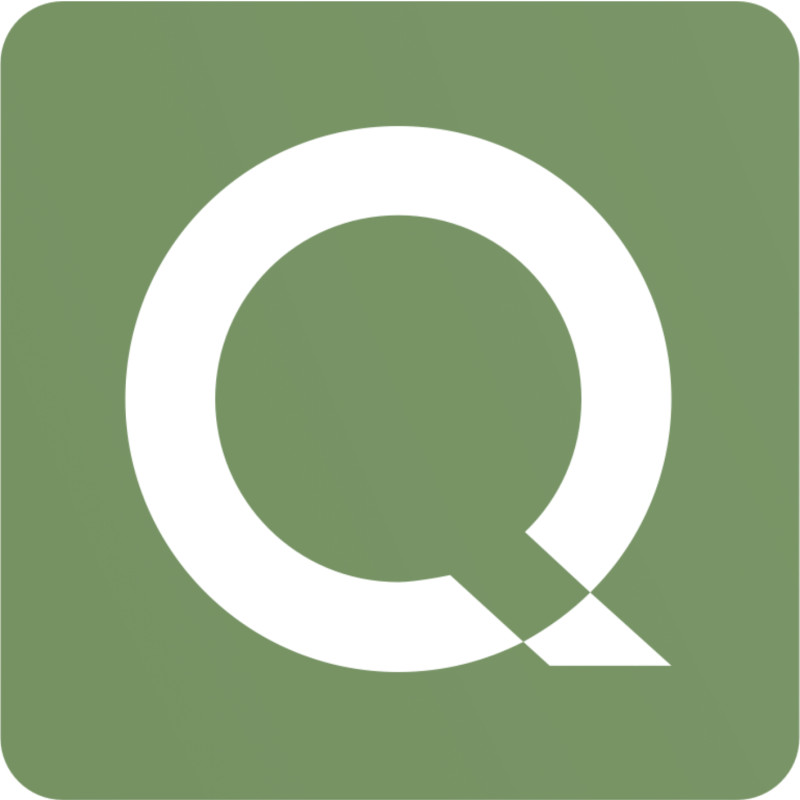 Qinsay logo
