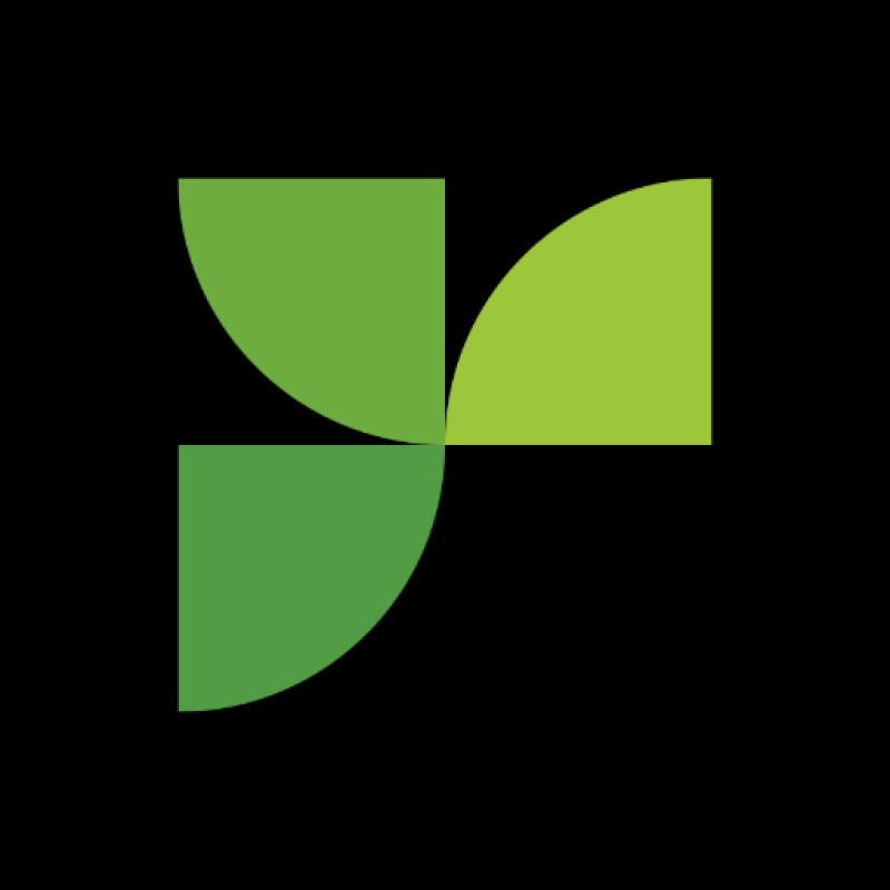 Responsive logo
