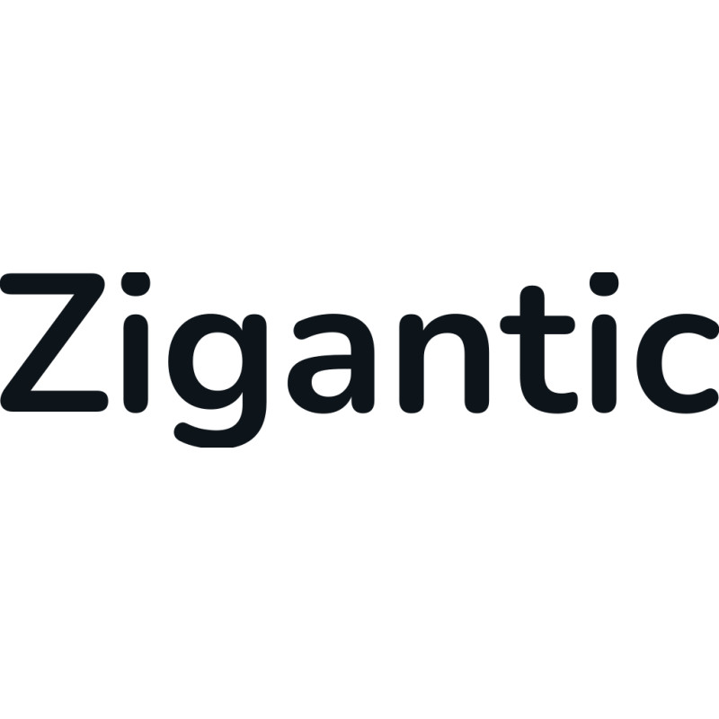 Zigantic logo