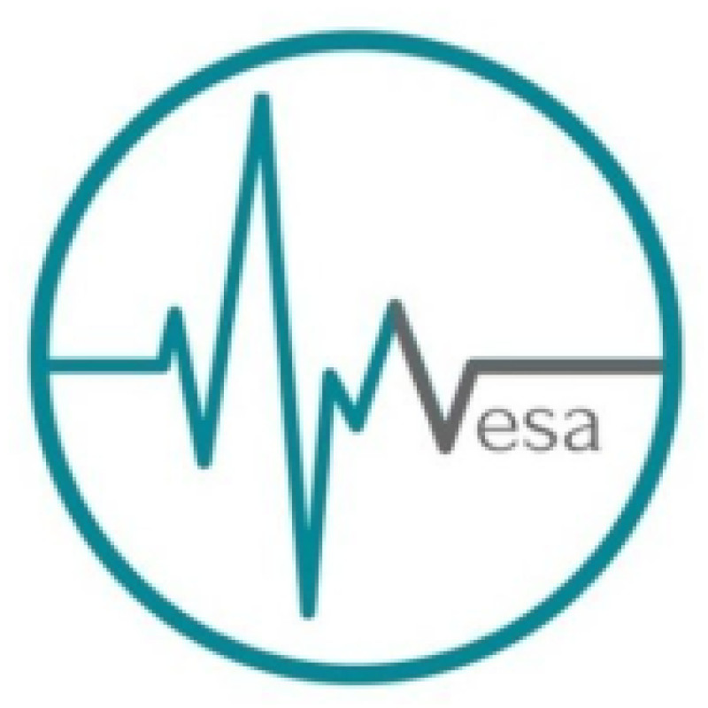 Yourvesa logo