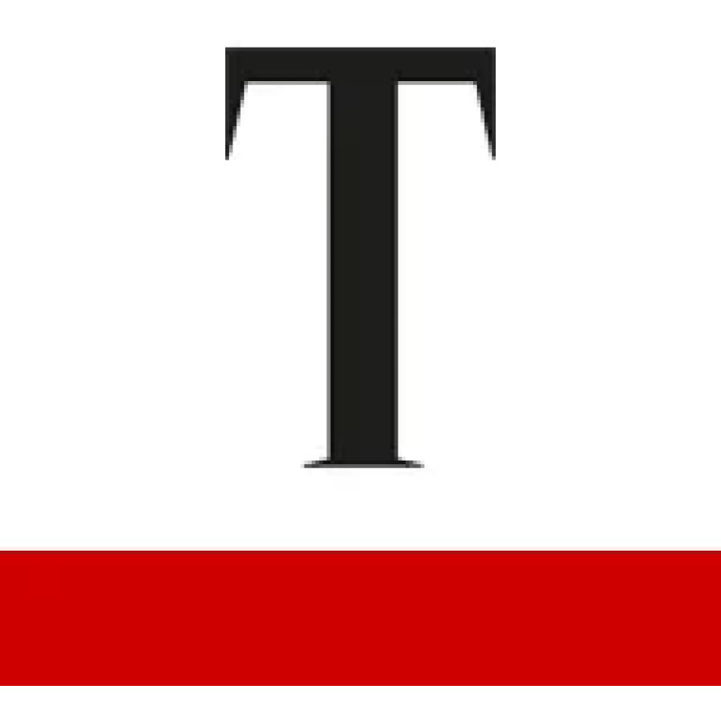 Der Tagesspiegel logo