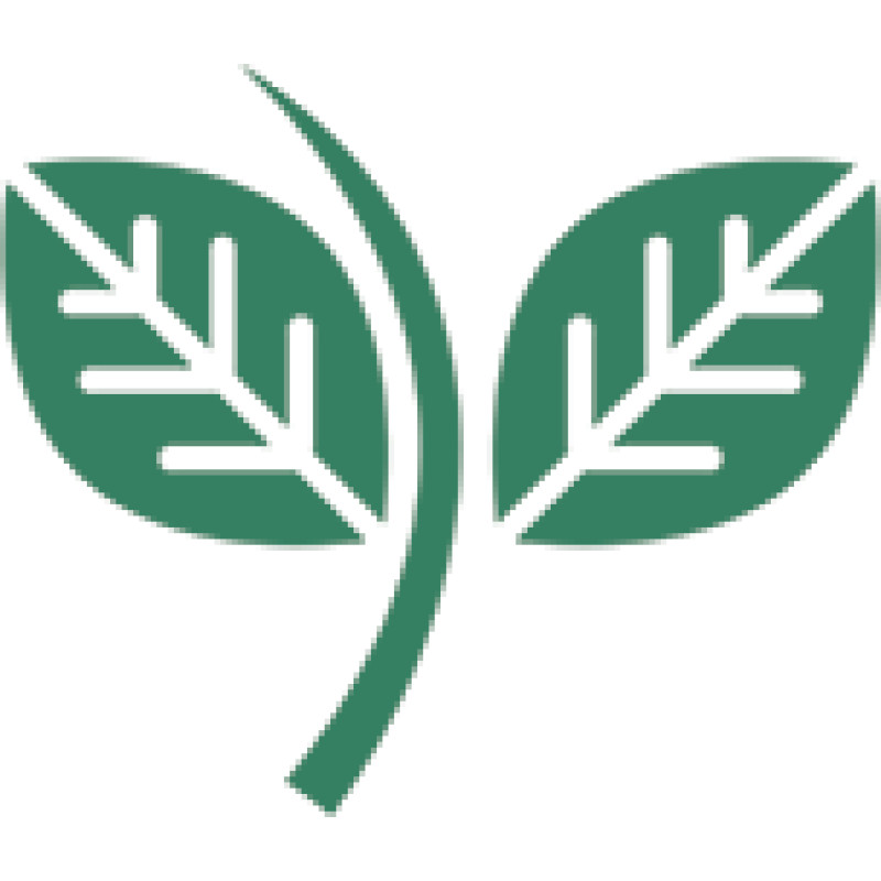 Hexas logo