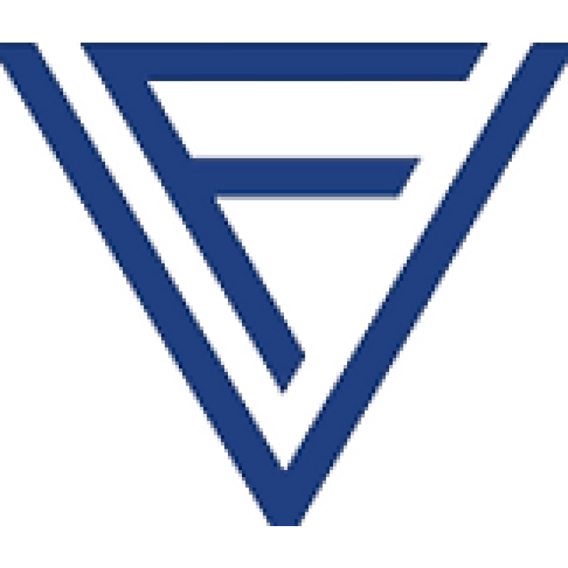 FingerVision logo