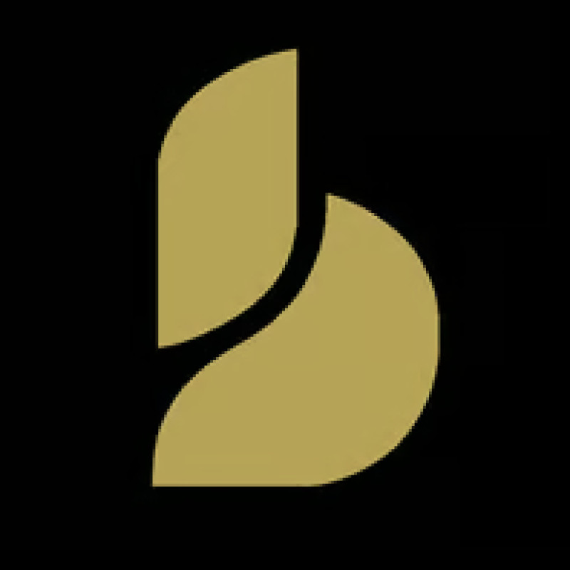 Baton Corporation logo