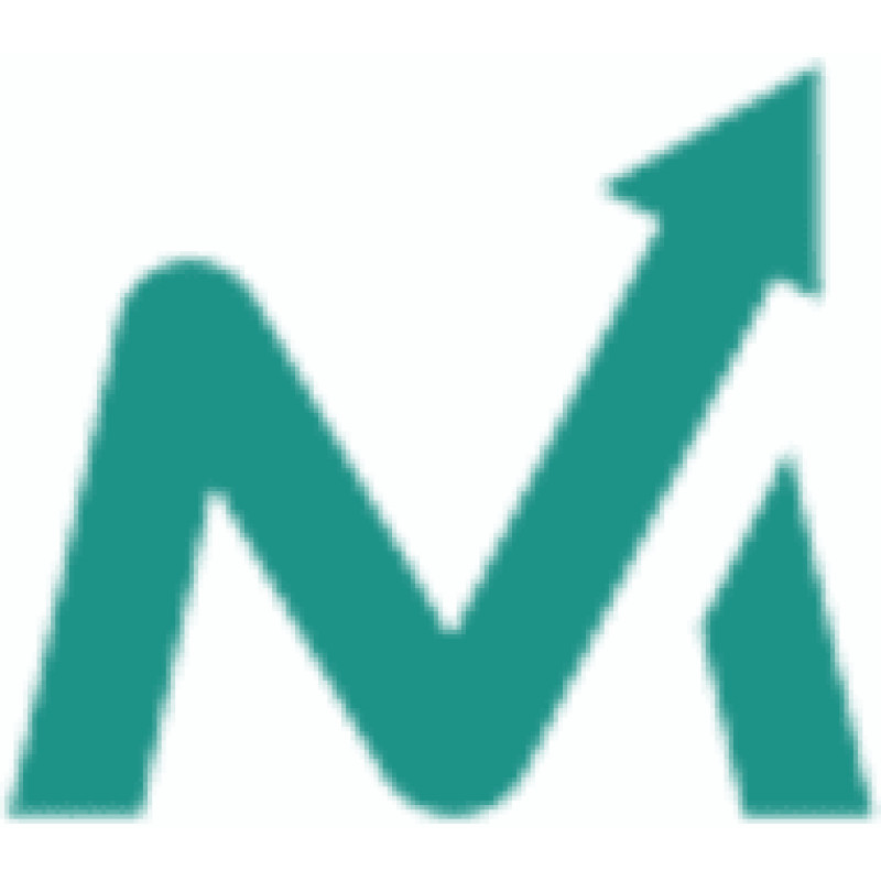 Leadmarketingstrategies logo