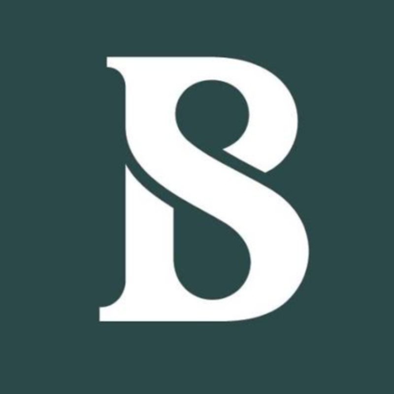 The Business Standard logo
