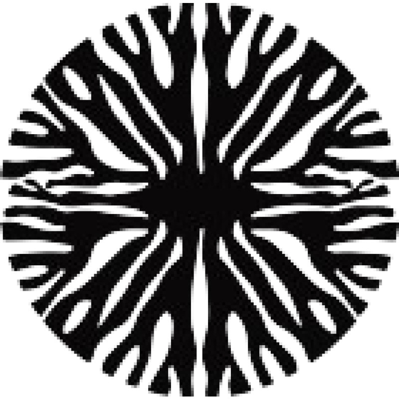 Rhizomeresearch logo