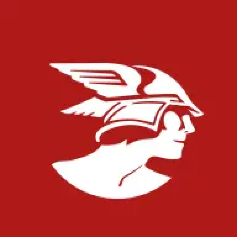 Les Echos logo