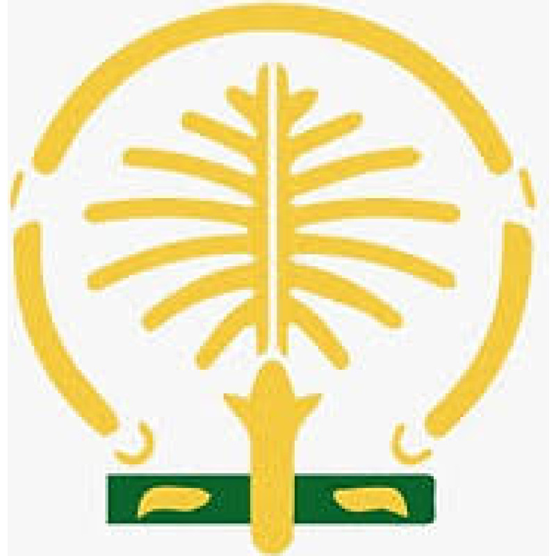 Zorte FZCO logo