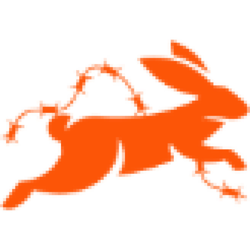 hastewire logo